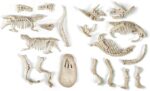 Clementoni Archeofun T-Rex & Triceratops Glow-In-The-Dark Dig Kit - Image 4