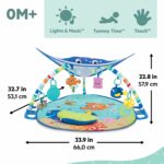 Bright Starts Finding Nemo Lights & Music Gym - Image 3