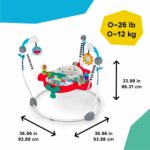 Baby Einstein Ocean Explorers Airplane Adventure 2-in-1 Activity Jumper - Image 8