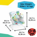 Baby Einstein Ocean Explorers Musical Bouncer - Image 4