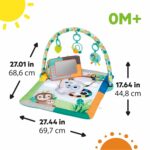 Bright Starts Tropical Treetop Baby Activity Gym - Image 8