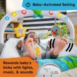 Baby Einstein Ocean Explorers Musical Bouncer - Image 2