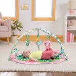 Bright Starts Rosy Rainforest Foldaway Activity Gym - Image 2