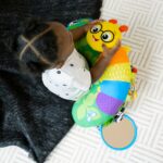 Baby Einstein Tummy Time Activity Pillow - Image 13