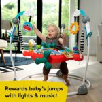 Baby Einstein Ocean Explorers Airplane Adventure 2-in-1 Activity Jumper - Image 4